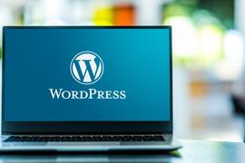 Wordpress, diseño de páginas web - Proveedor Del Estado